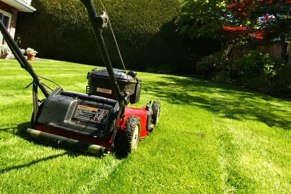 Zaires Landscaping Logo