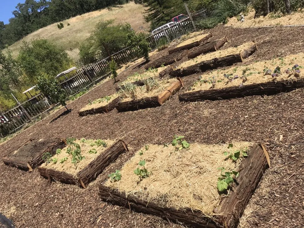 Expert landscape installation for beautiful yards across Berkeley, CA - Zak Bloom Gardens