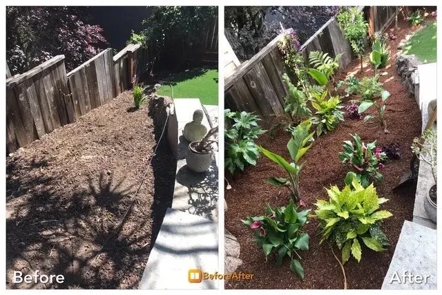 Local lawn care service experts serving Berkeley, CA - Zak Bloom Gardens