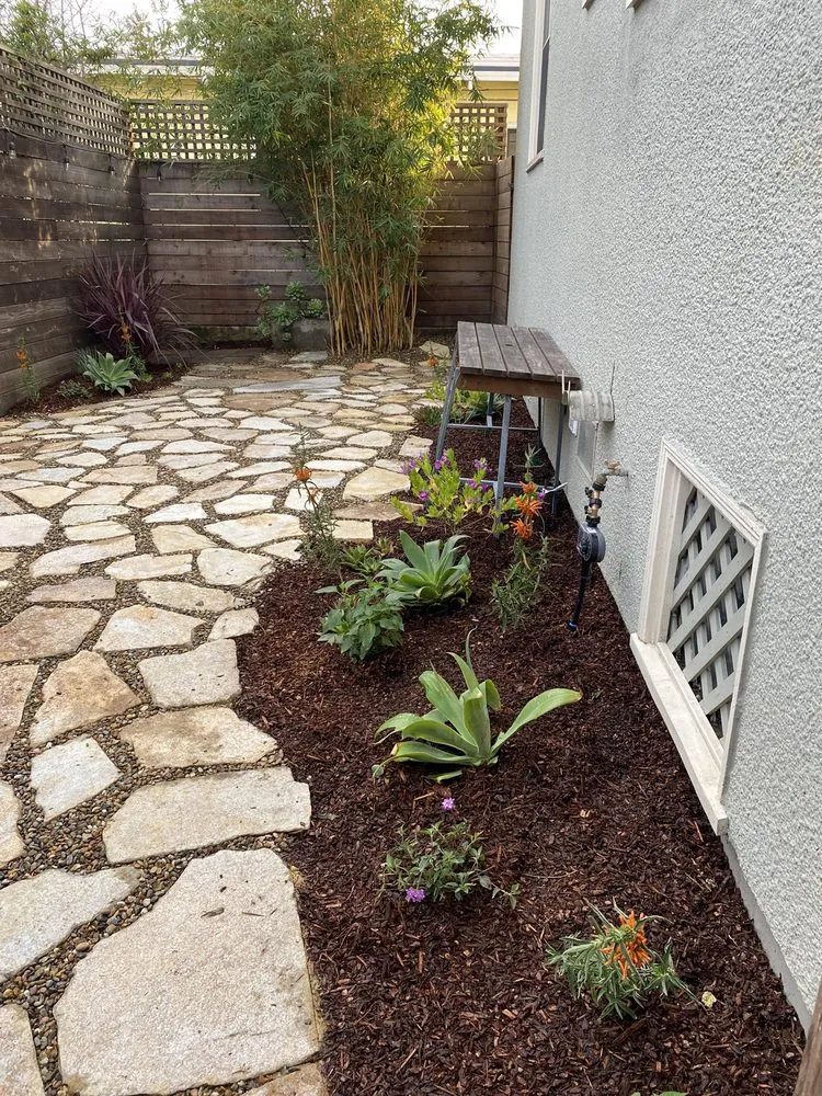 Local residential landscaping for year-round maintenance across Berkeley, CA - Zak Bloom Gardens