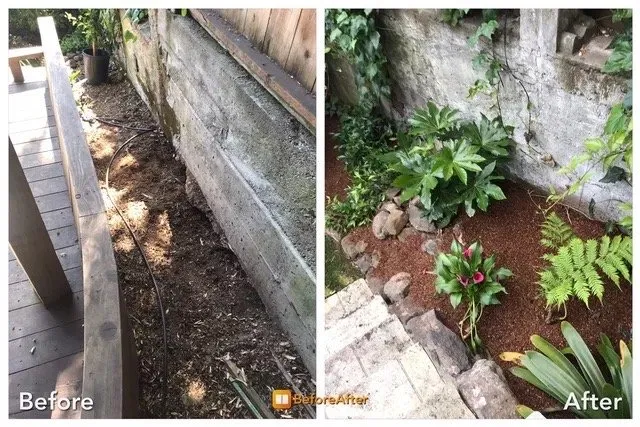 Professional landscaping services for outdoor upgrades across Berkeley, CA - Zak Bloom Gardens