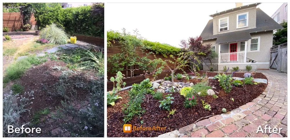 Trusted landscape design experts serving Berkeley, CA - Zak Bloom Gardens