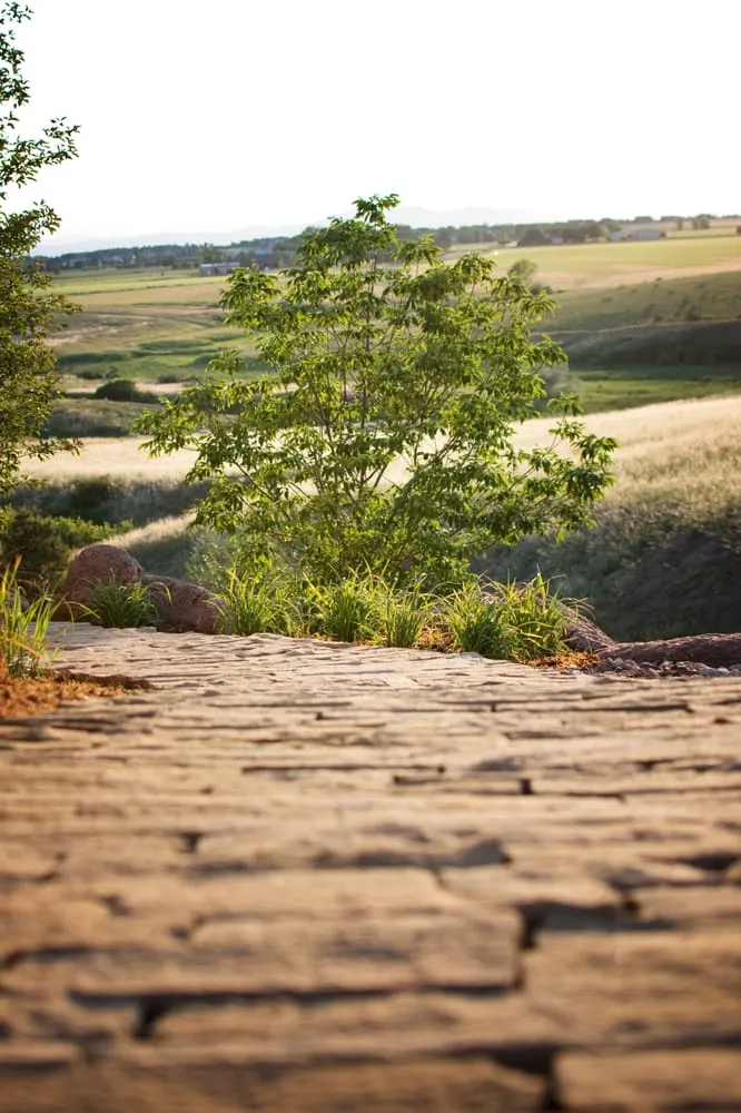 Reliable yard maintenance experts serving Fort Collins, CO - Zak George Landscaping