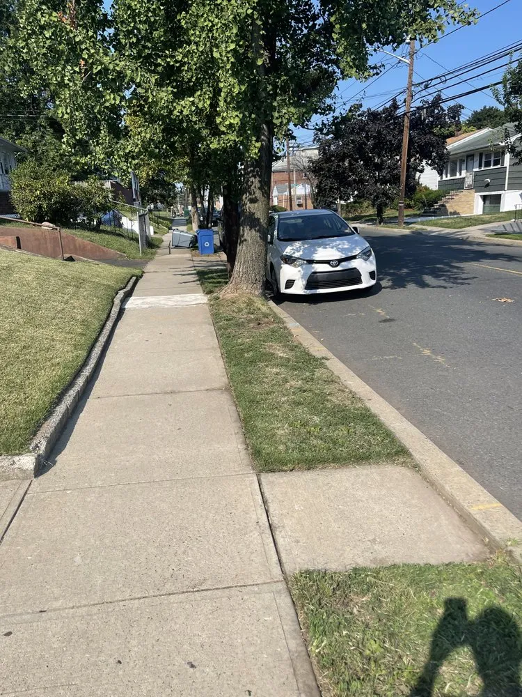 Top-rated landscaping services experts serving Woodbridge Township, NJ - Zakai Lawn Service