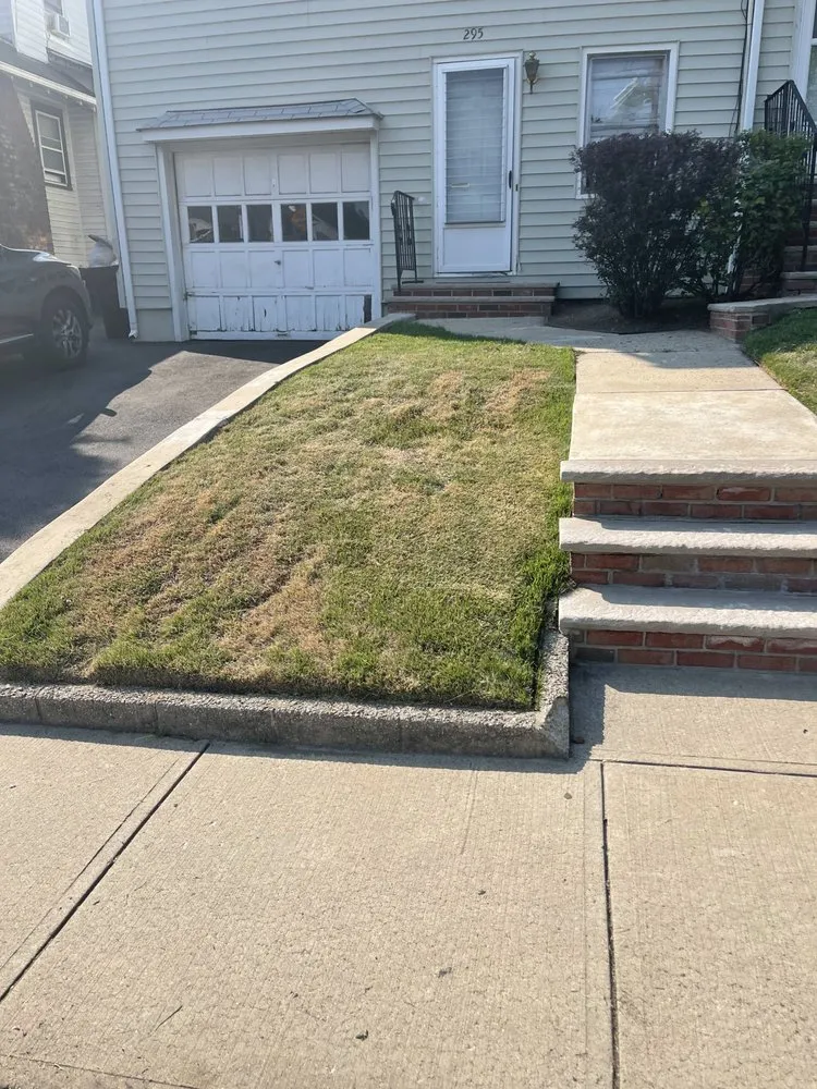 Trusted lawn care service experts serving Woodbridge Township, NJ - Zakai Lawn Service