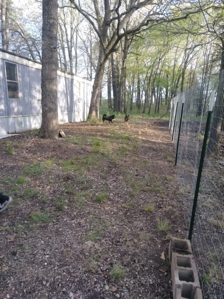 Top-rated lawn care service experts serving Berryville, AR - Zakk Can Fix It Handyman Service