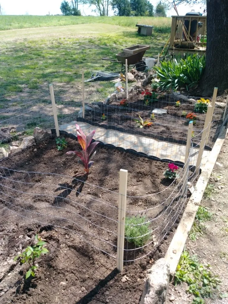 Local outdoor landscaping near you in Berryville, AR by Zakk Can Fix It Handyman Service