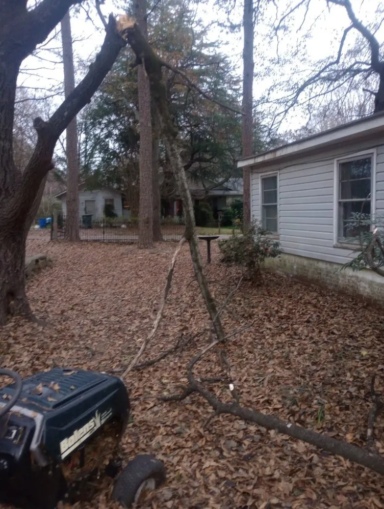 Affordable residential landscaping for beautiful yards across Gastonia, NC - Zalak and Blowers