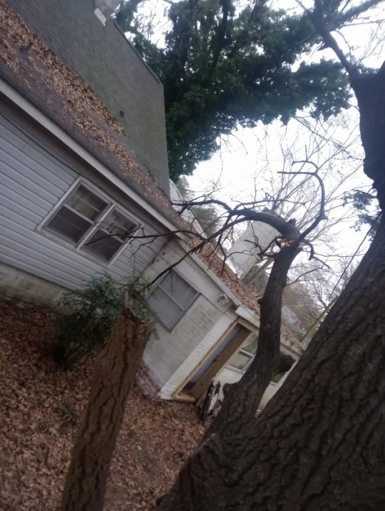 Local outdoor landscaping in Gastonia, NC by Zalak and Blowers