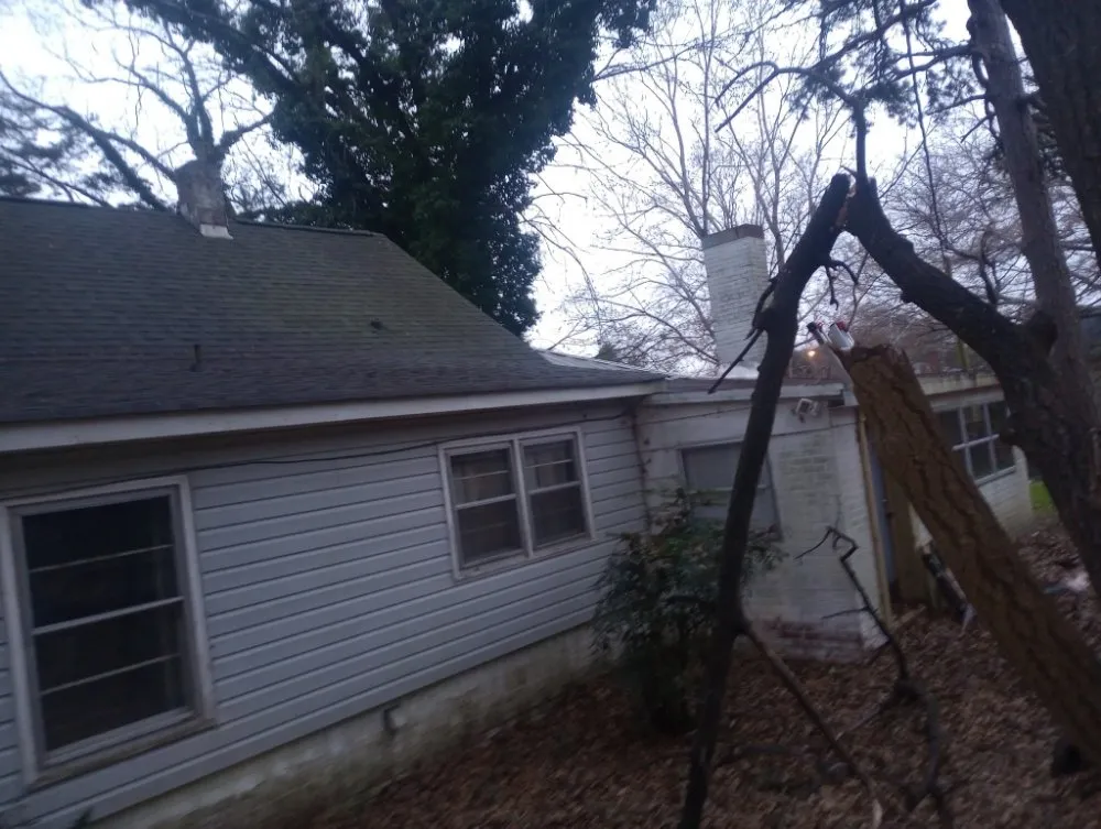 Local yard maintenance near you in Gastonia, NC by Zalak and Blowers