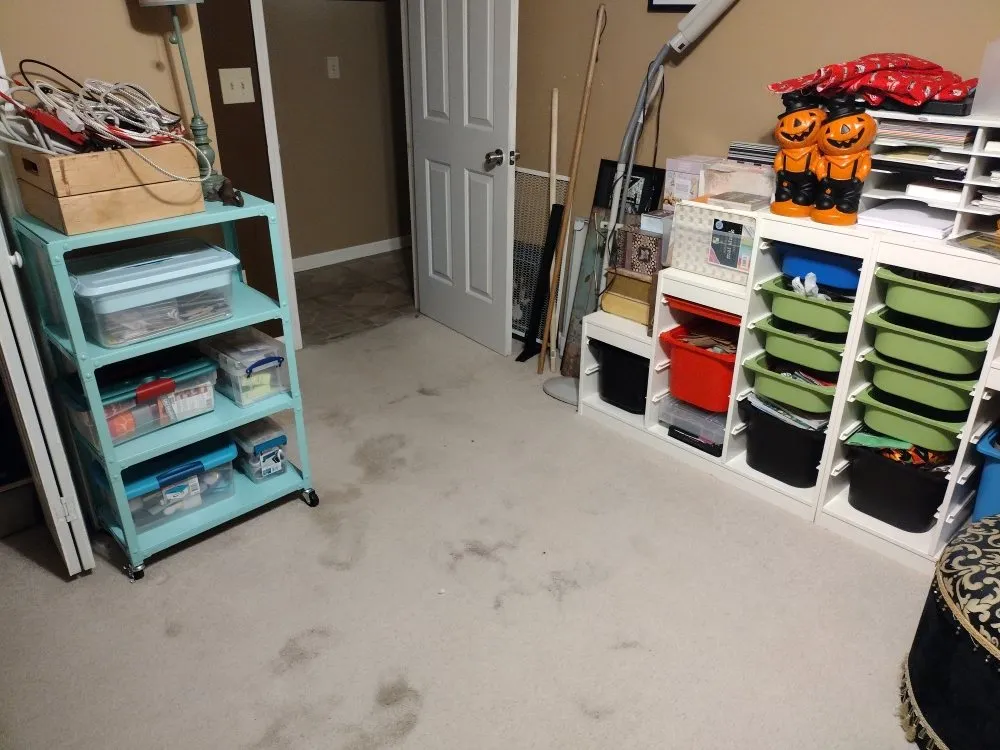 Local yard maintenance experts serving Gastonia, NC - Zalak and Blowers