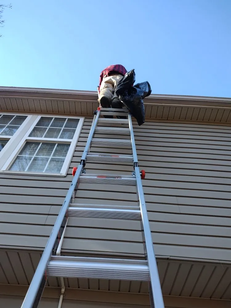 Professional residential landscaping in Gastonia, NC - Zalak and Blowers