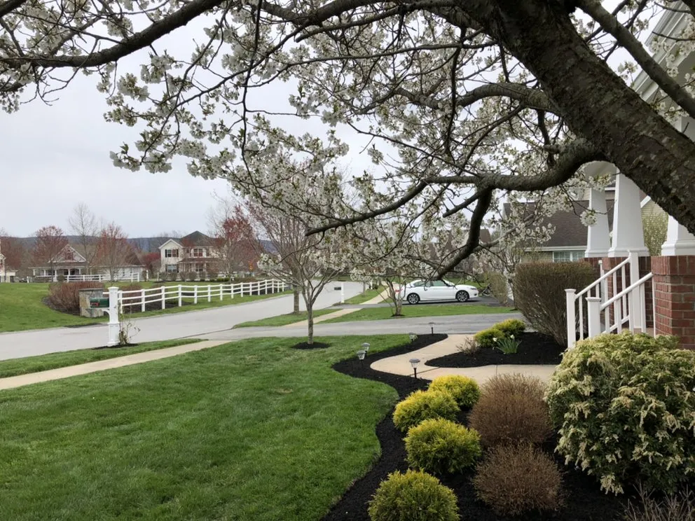 Top-rated landscaping services experts serving Peekskill, NY - Zaldivar's Lawn Care