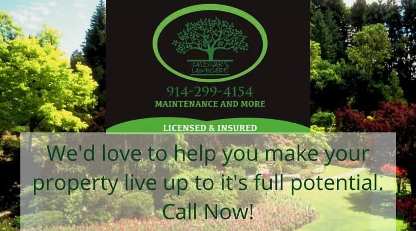 Affordable yard cleanup service in Peekskill, NY by Zaldivar's Lawn Care