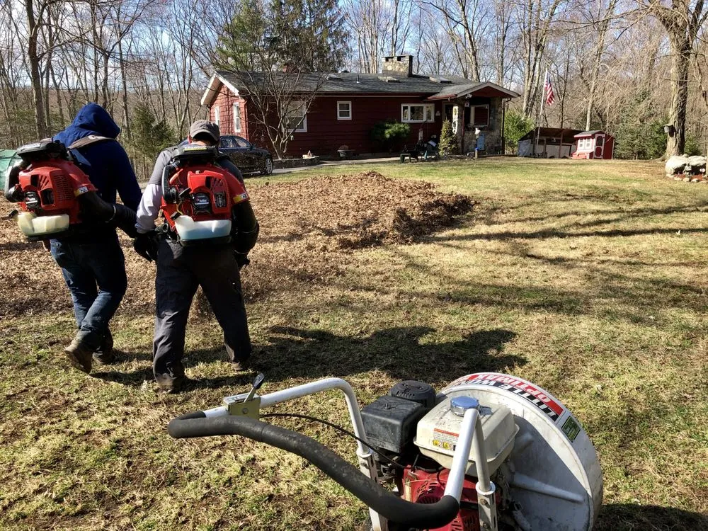 Affordable yard cleanup service in Peekskill, NY - Zaldivar's Lawn Care