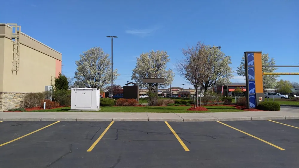 Professional yard cleanup service in Brockport, NY - Zales Lawn and Landscaping