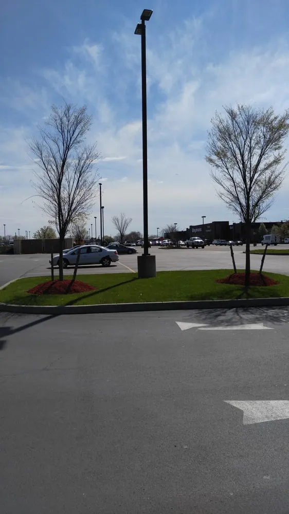 Top-rated lawn care service for homes across Brockport, NY - Zales Lawn and Landscaping