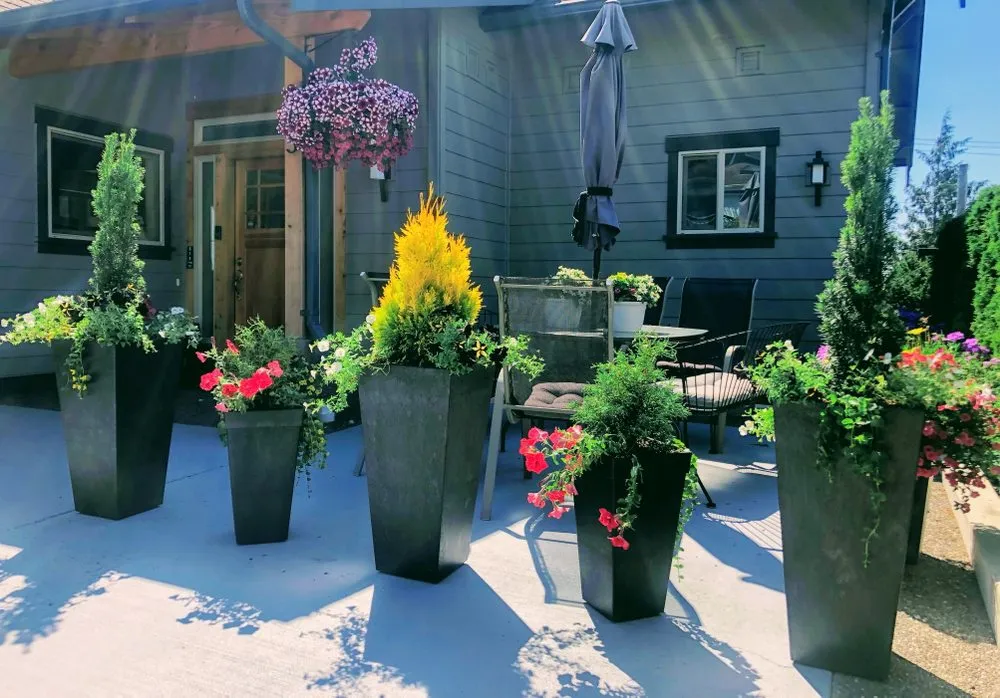 Top-rated landscape installation in Bellingham, WA by ZALEX Lawn and Garden