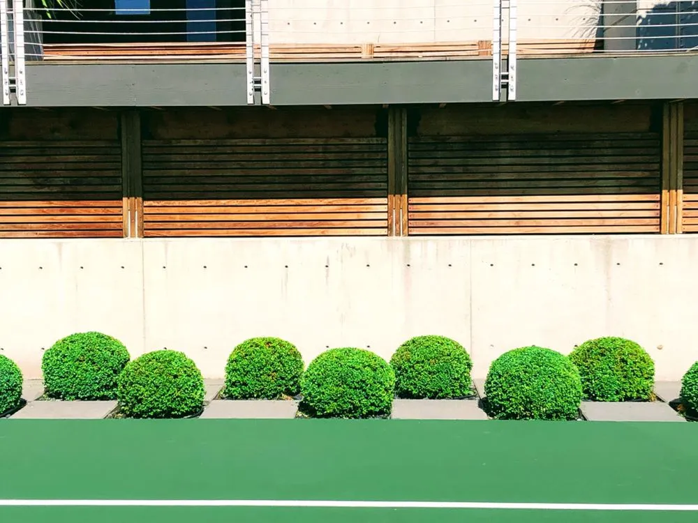 Trusted landscaping services in Bellingham, WA - ZALEX Lawn and Garden