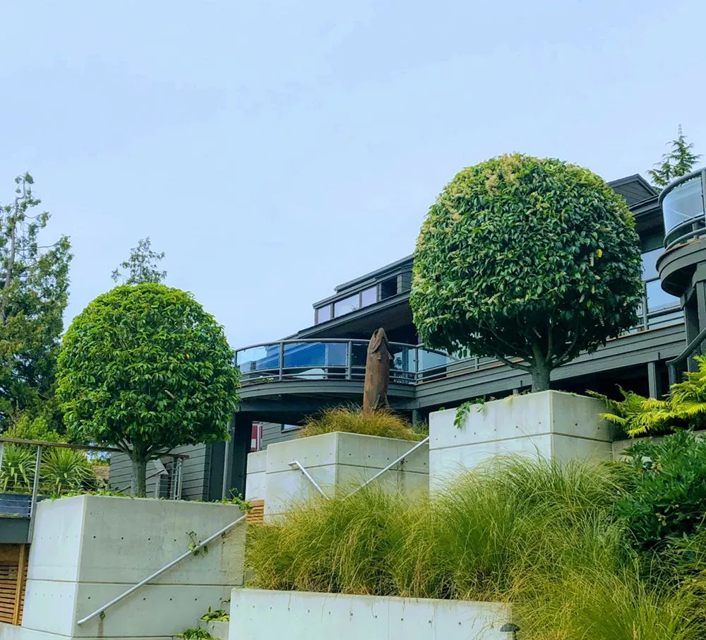 Local yard cleanup service experts serving Bellingham, WA - ZALEX Lawn and Garden