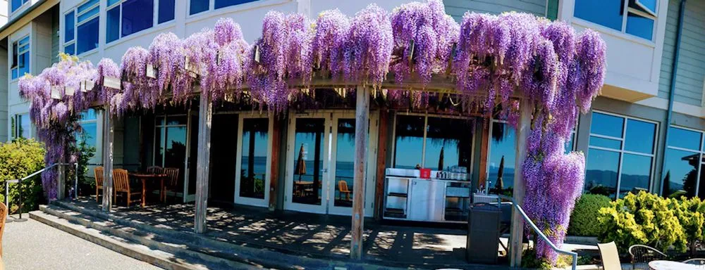 Reliable yard maintenance in Bellingham, WA - ZALEX Lawn and Garden