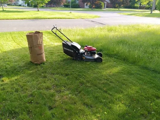 Zamani's Landscaping Logo