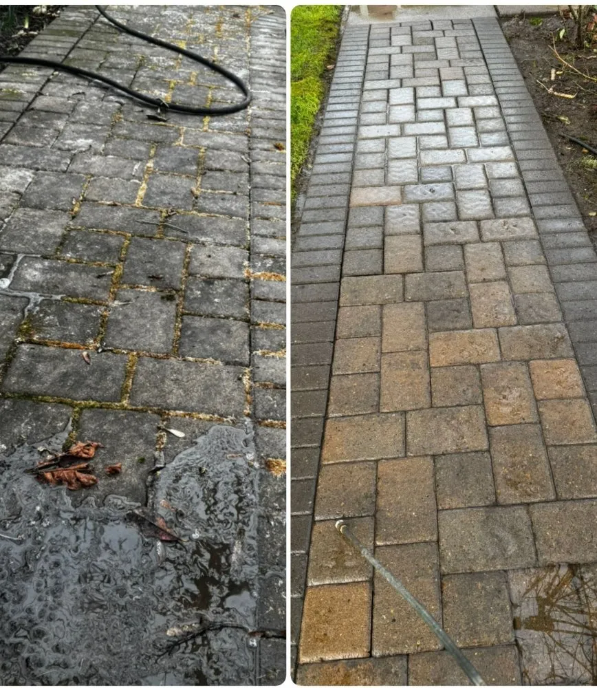 Top-rated yard cleanup service in Monmouth, OR - Zamarripa Landscaping Maintenance