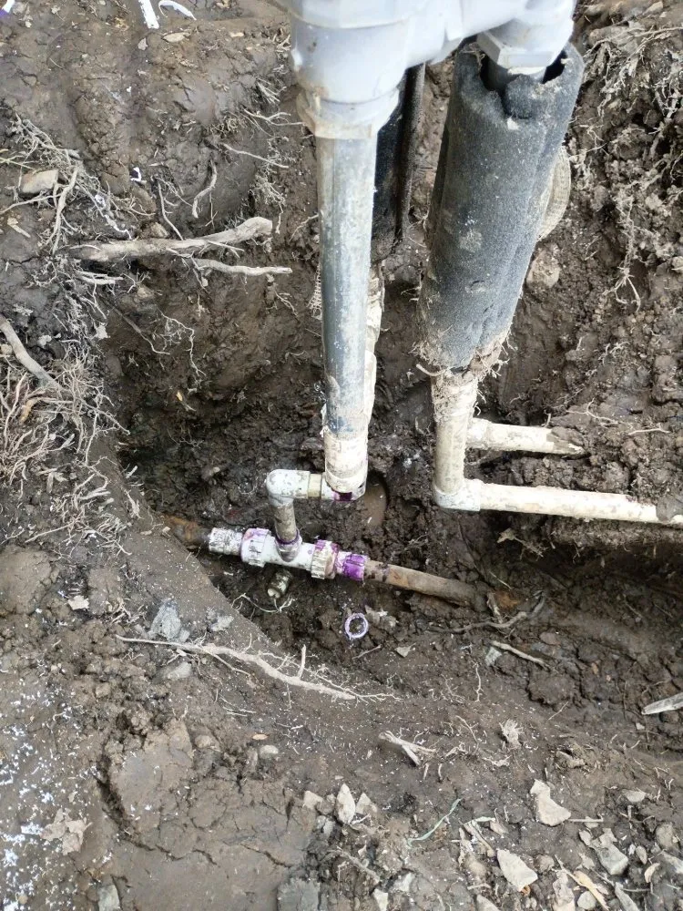 Professional residential landscaping in Monmouth, OR by Zamarripa Landscaping Maintenance