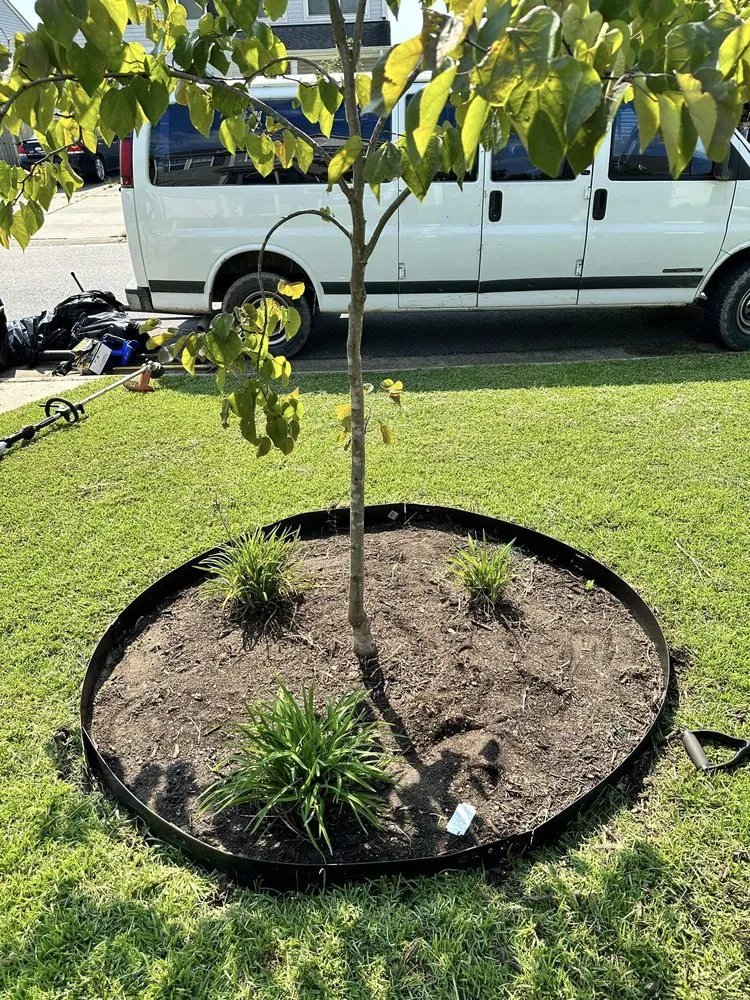 Professional lawn care service for year-round maintenance across North Charleston, SC - Zambil Landscaping