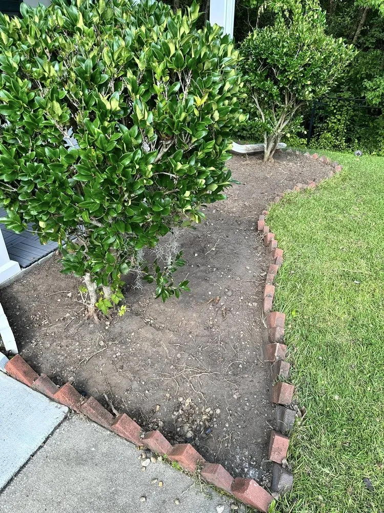 Professional lawn care service for outdoor upgrades across North Charleston, SC - Zambil Landscaping