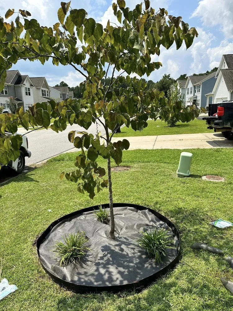 Expert garden landscaping experts serving North Charleston, SC - Zambil Landscaping