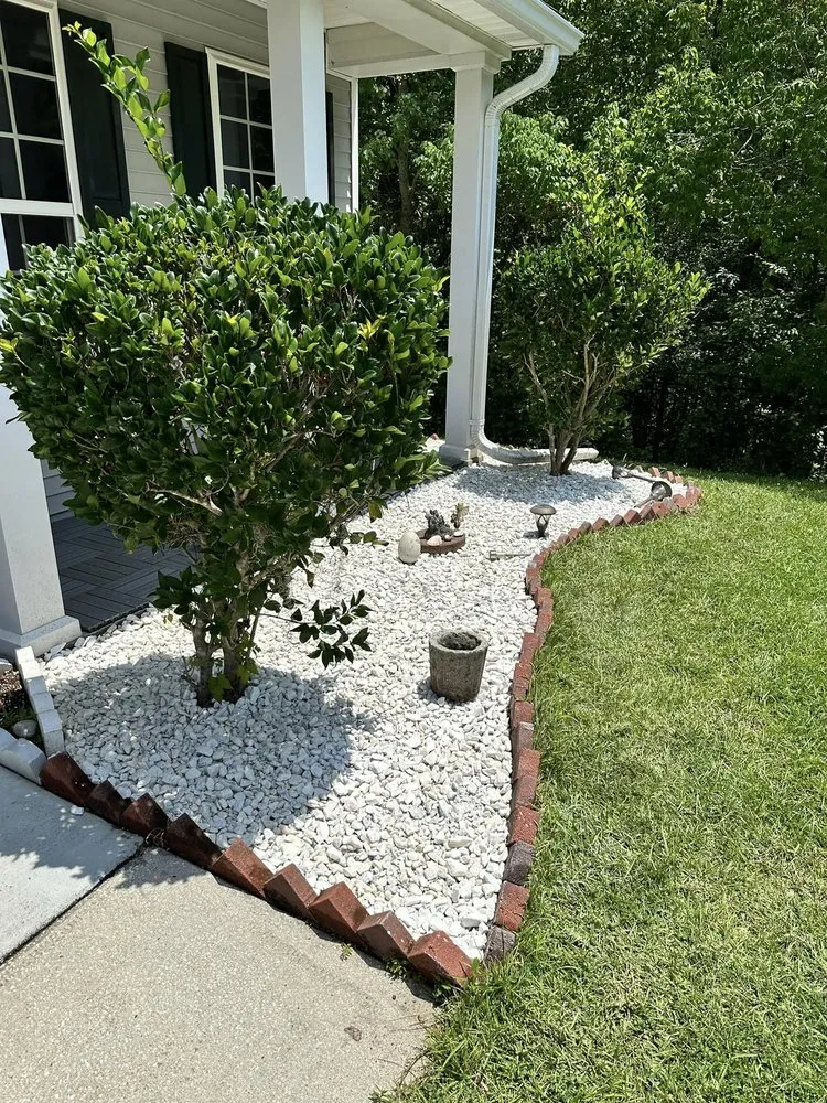 Professional yard cleanup service in North Charleston, SC - Zambil Landscaping