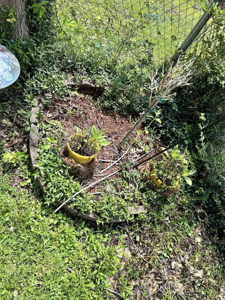 Professional yard maintenance for homes in North Charleston, SC by Zambil Landscaping