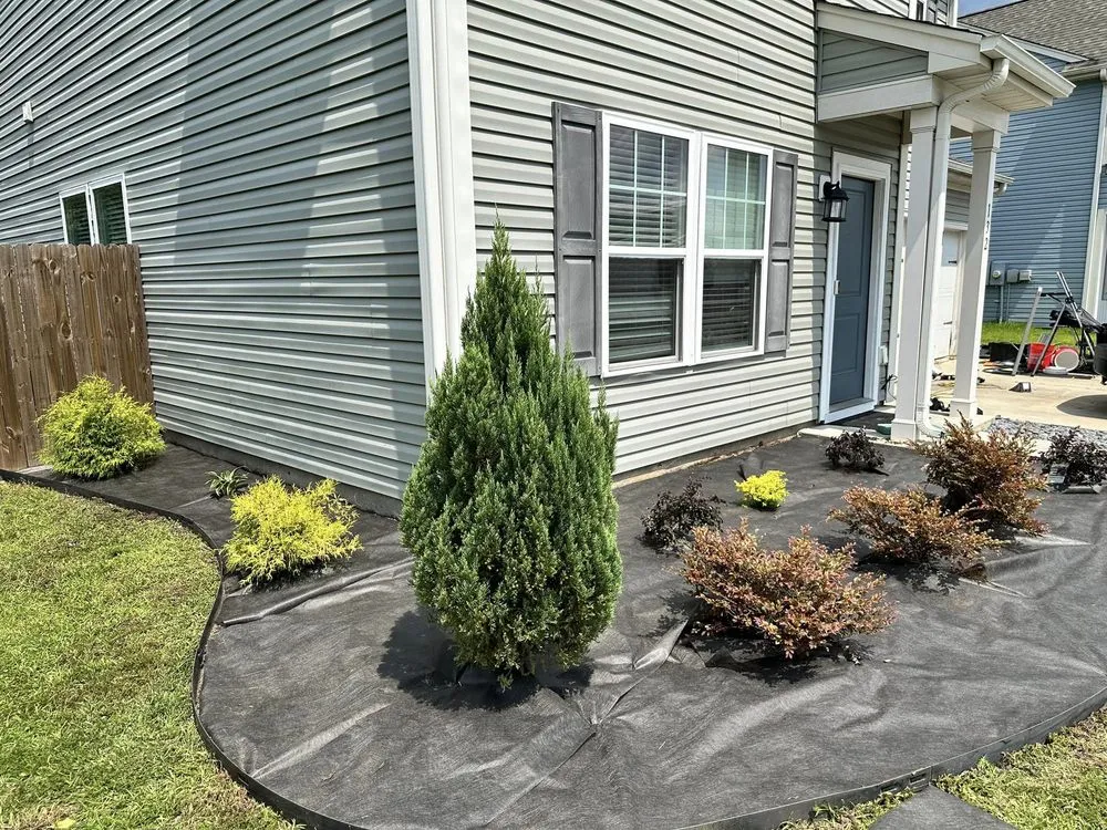 Top-rated landscape installation in North Charleston, SC by Zambil Landscaping