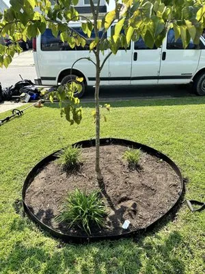 Zambil Landscaping Logo