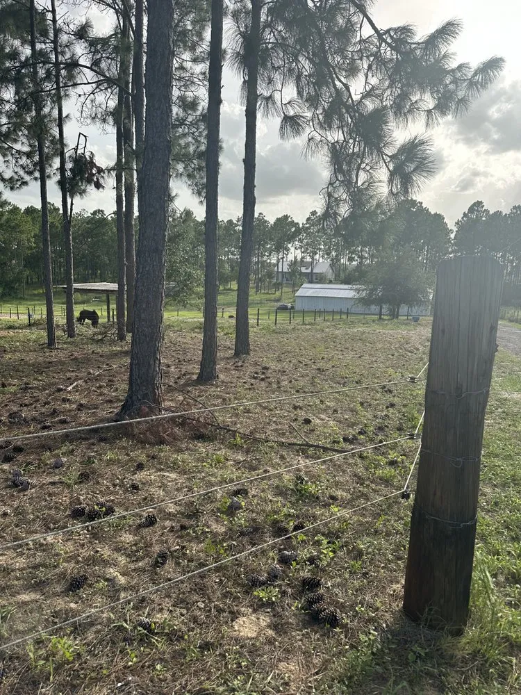 Trusted lawn mowing service near you in Haines City, FL by Zambrana Lawn Care