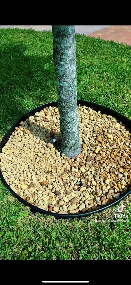 Professional yard maintenance for beautiful yards in Haines City, FL by Zambrana Lawn Care