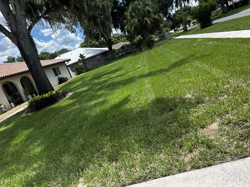 Affordable outdoor landscaping in Haines City, FL by Zambrana Lawn Care