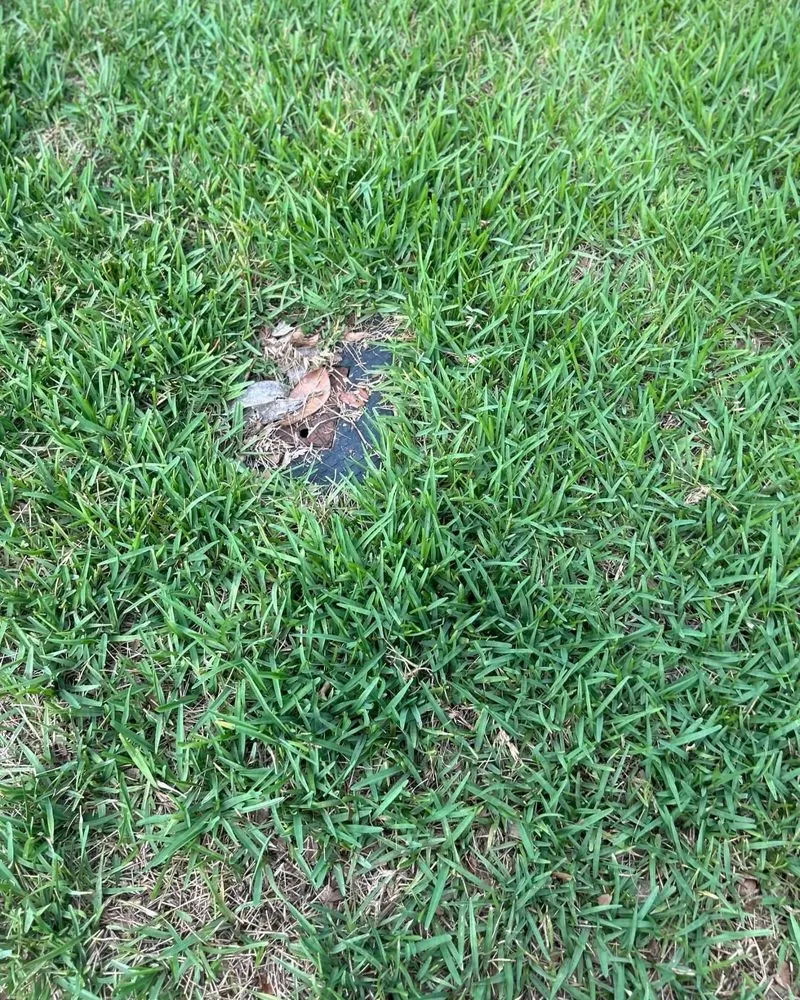 Expert landscape installation in Haines City, FL by Zambrana Lawn Care