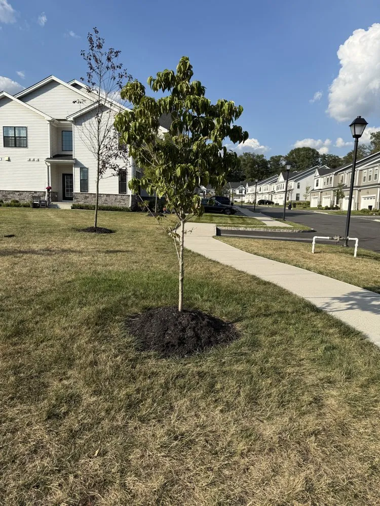 Professional landscape design for year-round maintenance across Parsippany, NJ - Zamex Landscaping