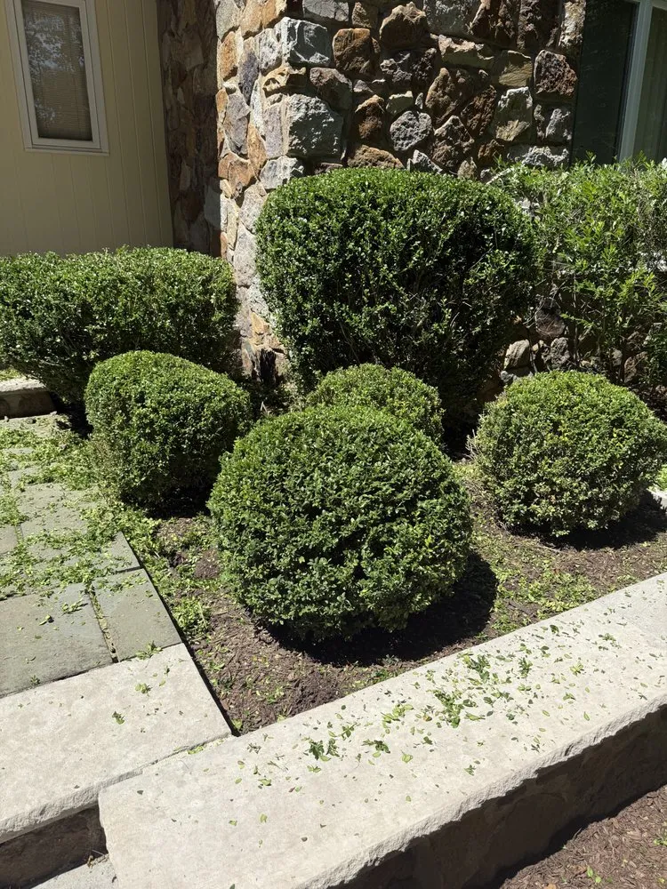 Expert garden landscaping for homes in Parsippany, NJ by Zamex Landscaping