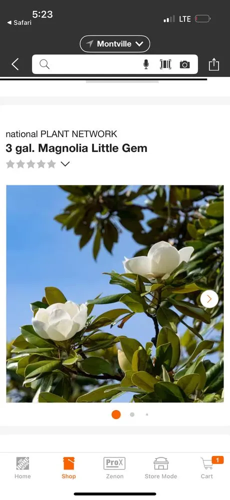 Professional landscape installation in Parsippany, NJ - Zamex Landscaping