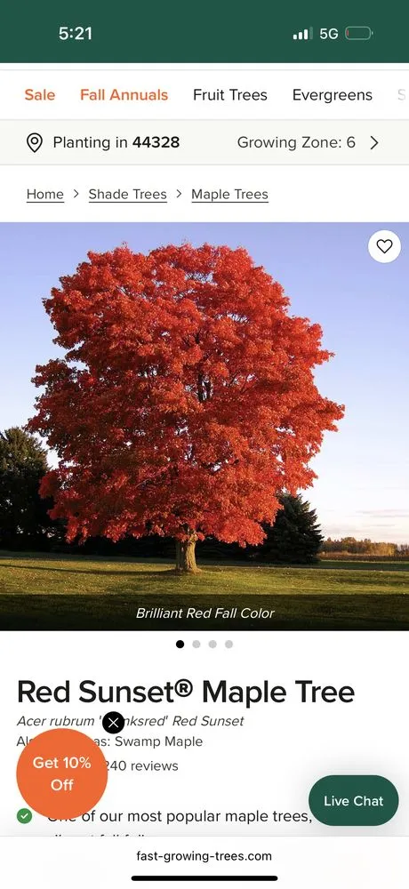 Reliable yard maintenance in Parsippany, NJ by Zamex Landscaping