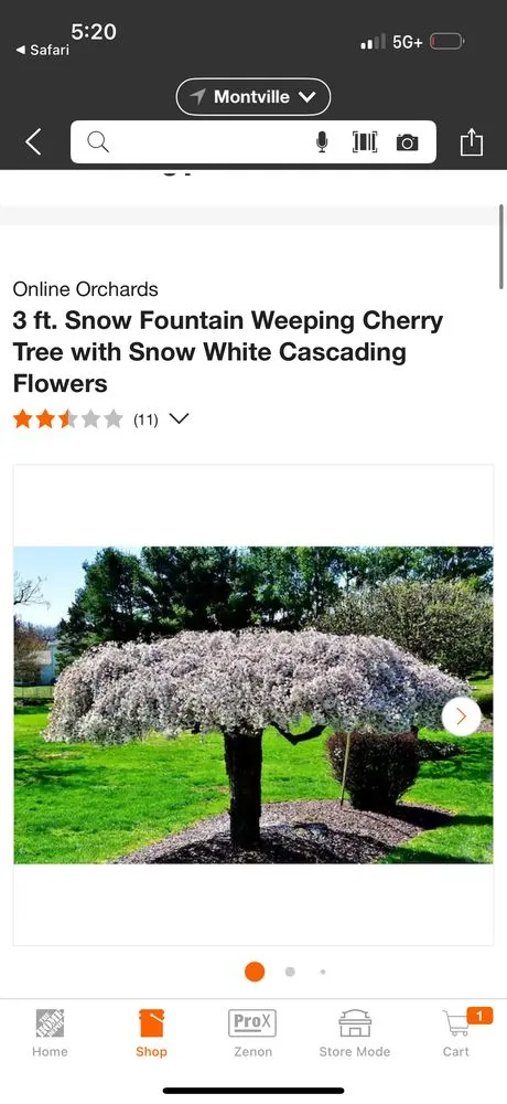 Custom residential landscaping in Parsippany, NJ - Zamex Landscaping