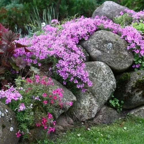 Custom yard cleanup service experts serving Parsippany, NJ - Zamex Landscaping