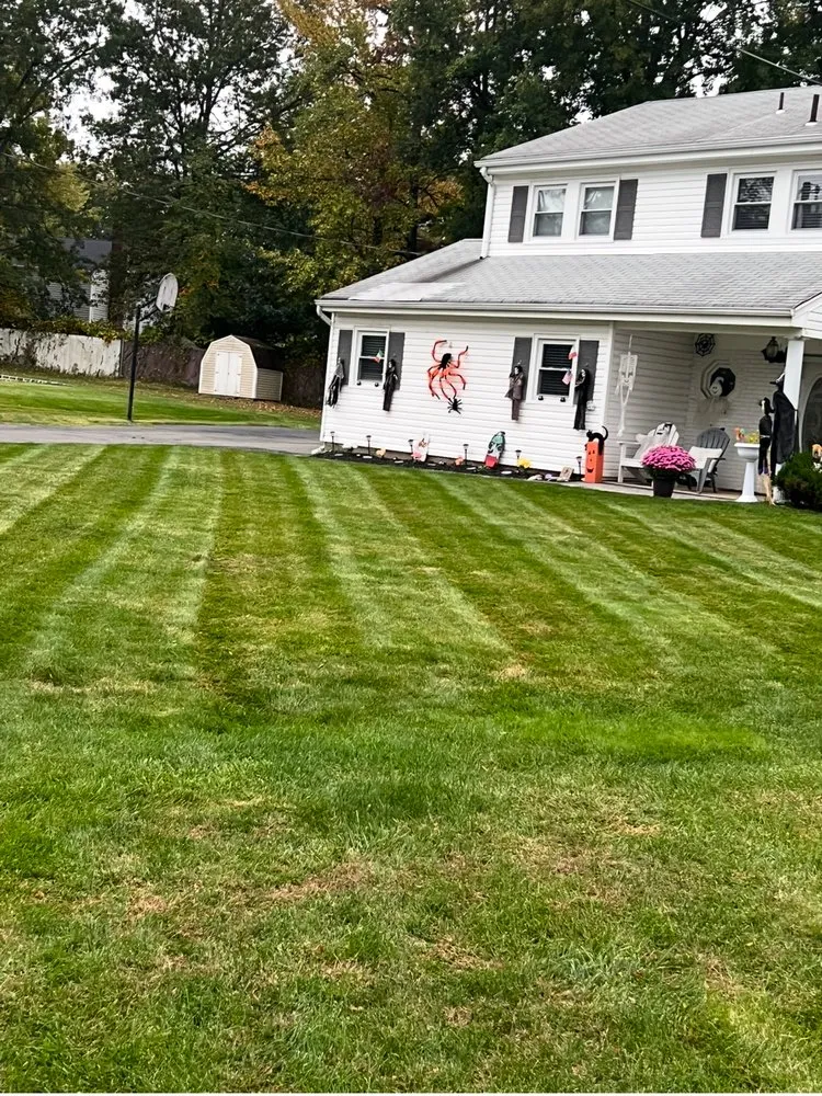 Reliable yard maintenance in Parsippany, NJ by Zamex Landscaping