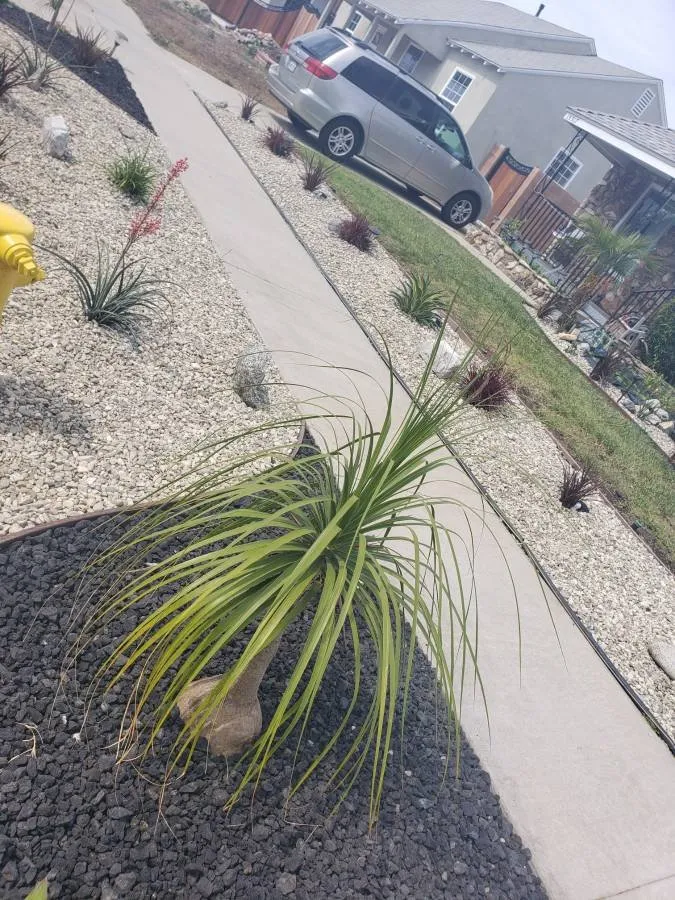 Top-rated yard maintenance experts serving Harbor City, CA - Zamora Gardening Service