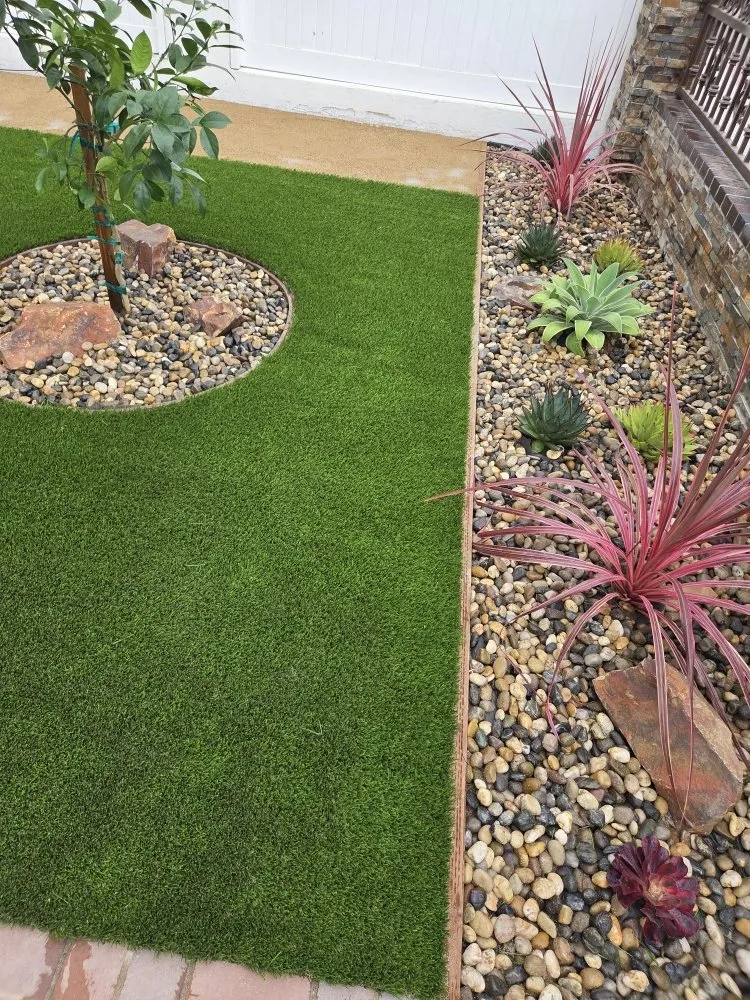 Local landscape design in Harbor City, CA - Zamora Gardening Service