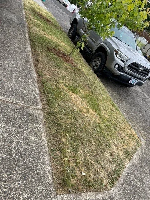 Trusted landscape design with custom design across Hillsboro, OR - Zamora Landscaping