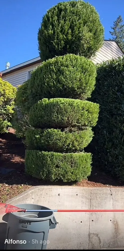 Custom lawn mowing service with custom design in Hillsboro, OR by Zamora Landscaping